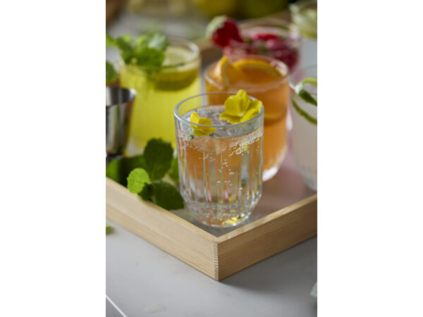 Vandglas Astrid 25 cl 6 stk.