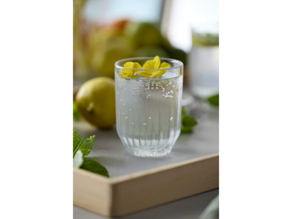 Vandglas Astrid 25 cl 6 stk.